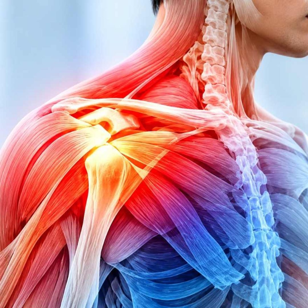 Rotator Cuff Injuries Treatment in Indore Rotator Cuff Injuries Treatment in Indore